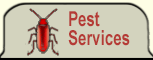 See our Pest Control services